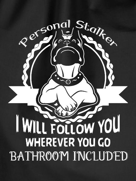 Boxer Dog Personal Stalker