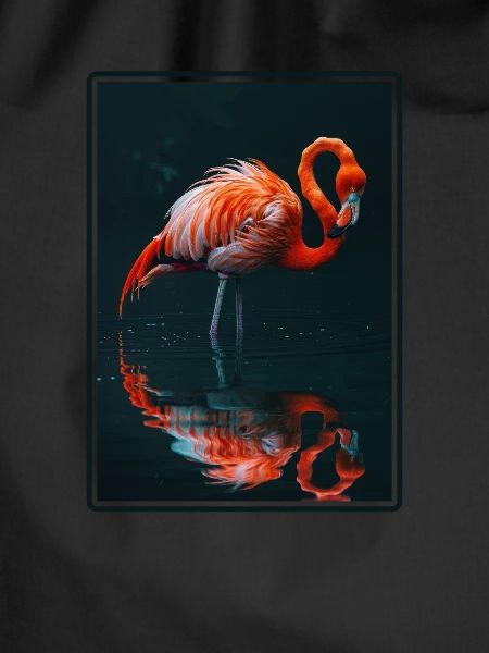 Flamingos Flamingo