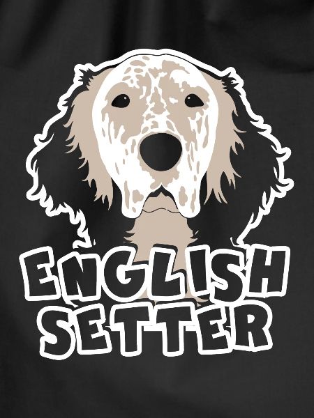 Cute English Setter Face