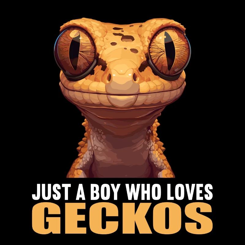 Geckos Geckos