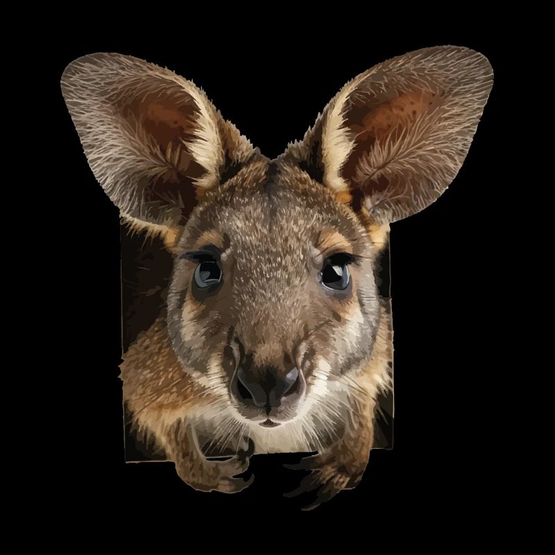 Wallaby