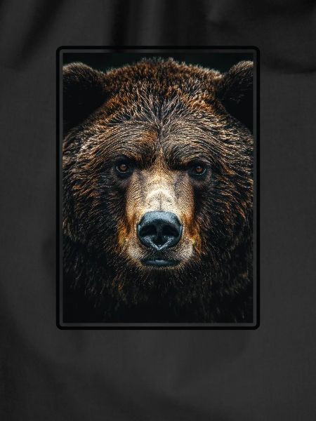grizzly bears Grizzly bear