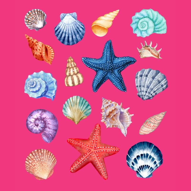 Shell Collection.Colorful Shells from Summer Holidays