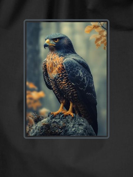 Falcon Falcon