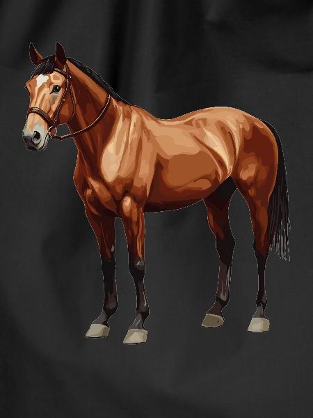 Pferde Pferd