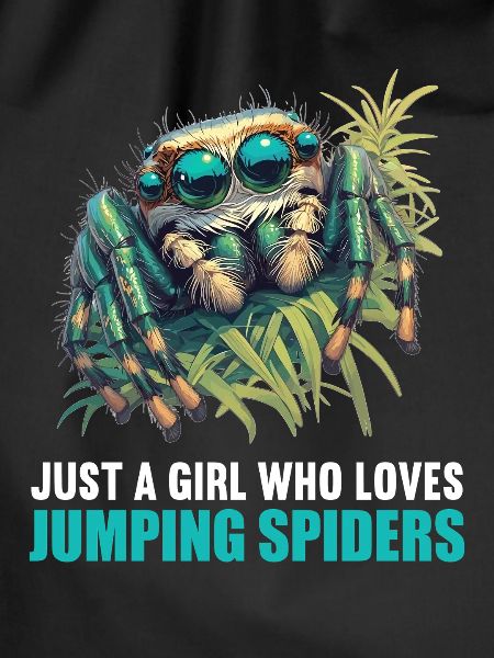 Jumping Spider Springspinnen Springspinne