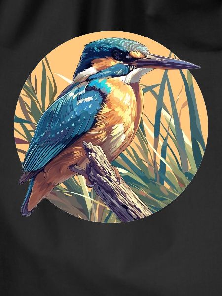 Kingfishers Kingfisher