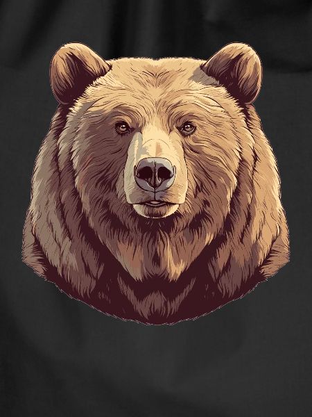 Kodiak Bear Kodiak Bear