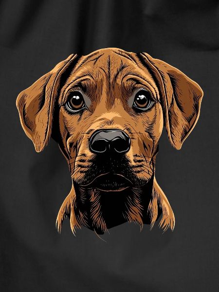 Rhodesian Ridgeback