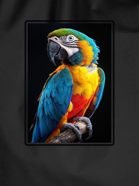 Macaw's Era