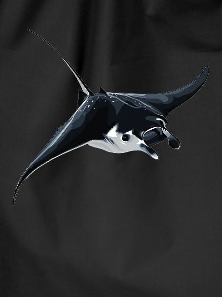 Manta Rays Manta Rays