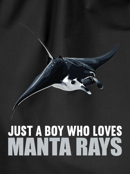 Manta Rays Manta Rays