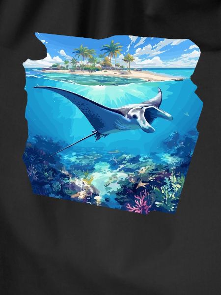 Manta Rays Manta Rays