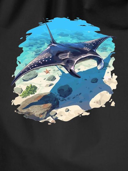 Manta Rays Manta Rays
