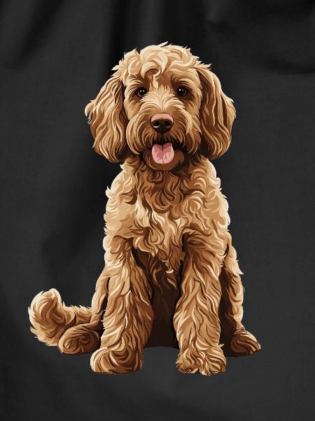 Labradoodle