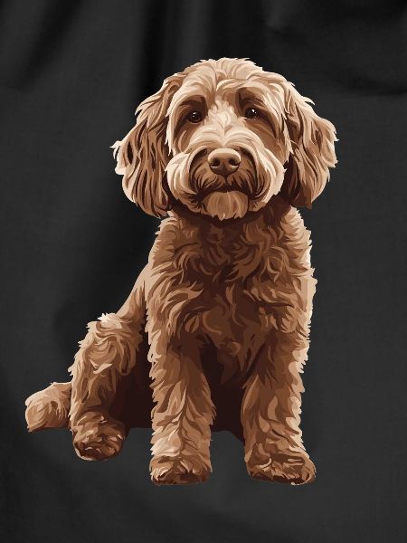 Labradoodle