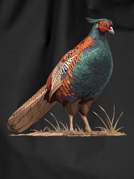 Pheasants Pheasant
