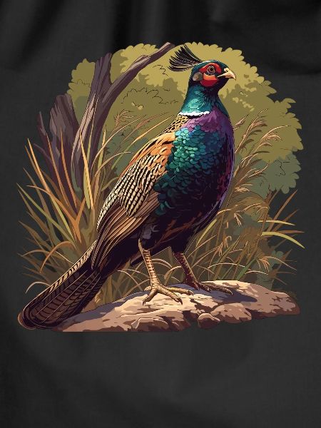Pheasants Pheasant