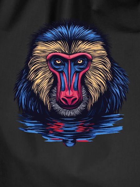 Mandrill Affe im Spiegel