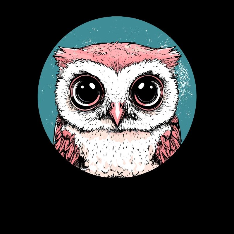 Big Eyes Owl