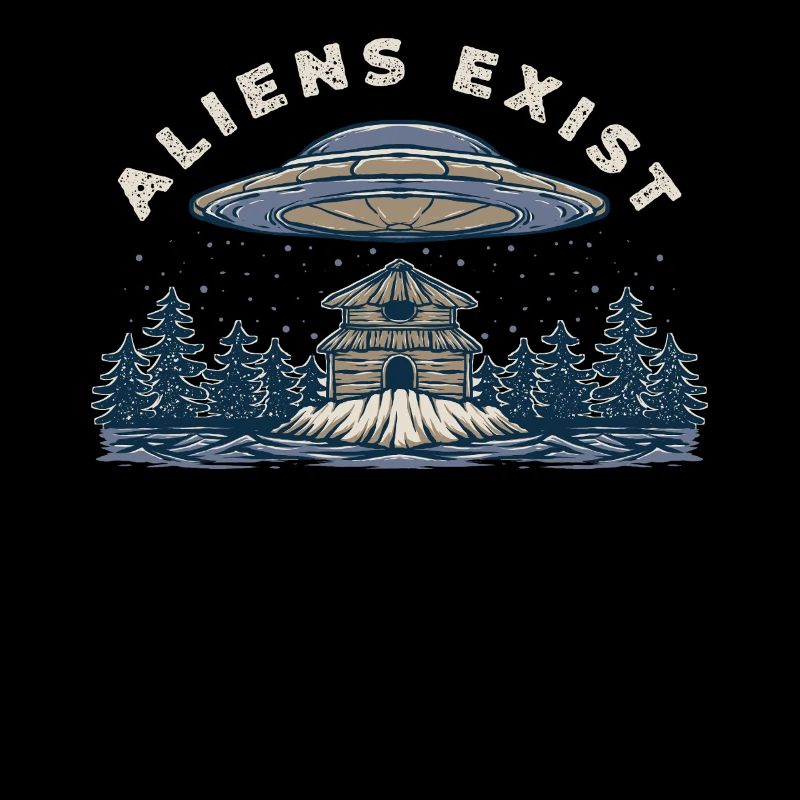 Alien UFO Abduction Cabin