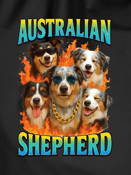 Australischer Schäferhund