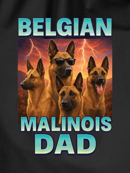 Belgischer Malinois