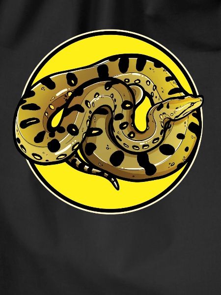 Anacondas Anaconda