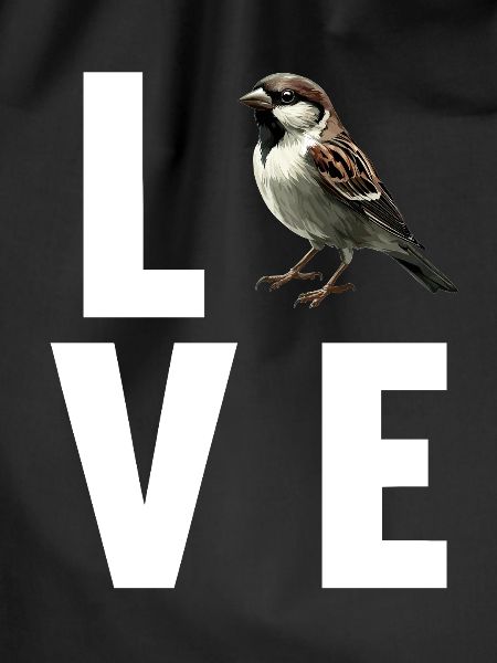 Sparrows Sparrow
