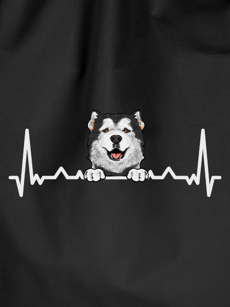 Alaskan Malamute Dog