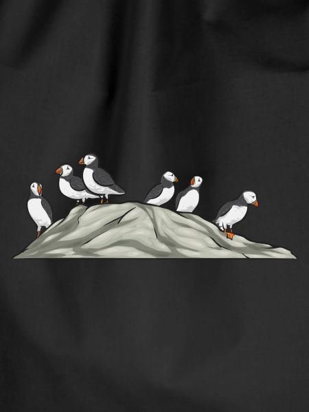 puffin, puffin, auks, lunde