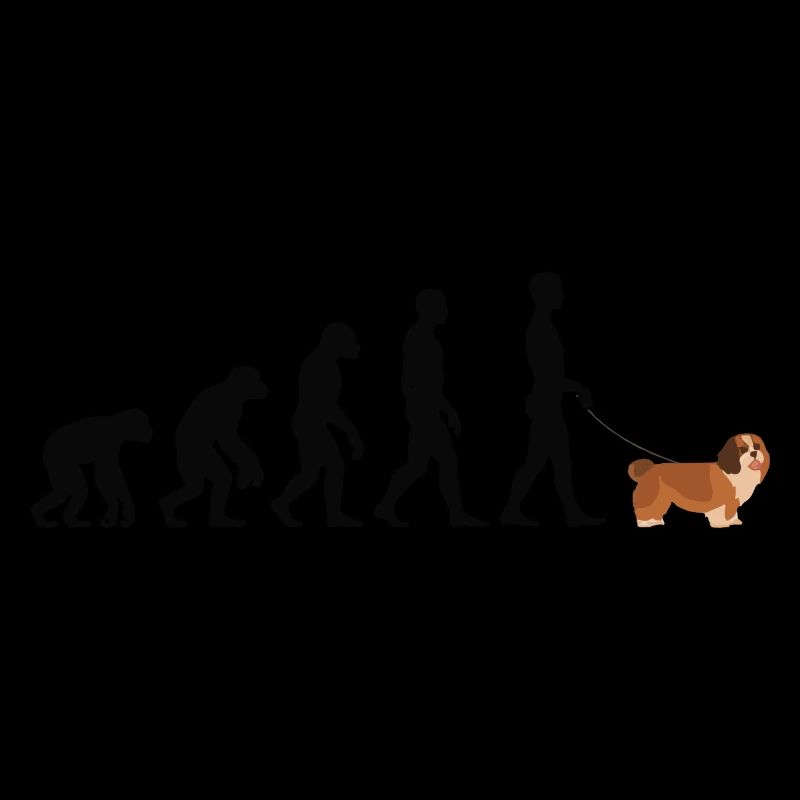 Havanese