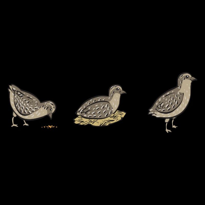Oiseau de caille