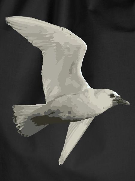 Vogel