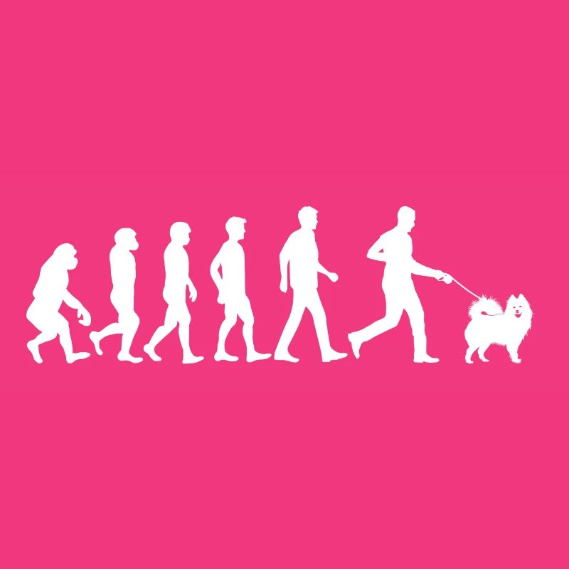 Samoyed Hund Evolution Hundebesitzer