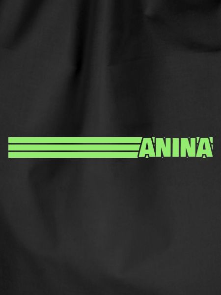 Anina