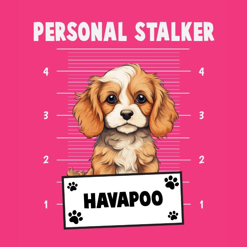 Personal Stalker Havapoo