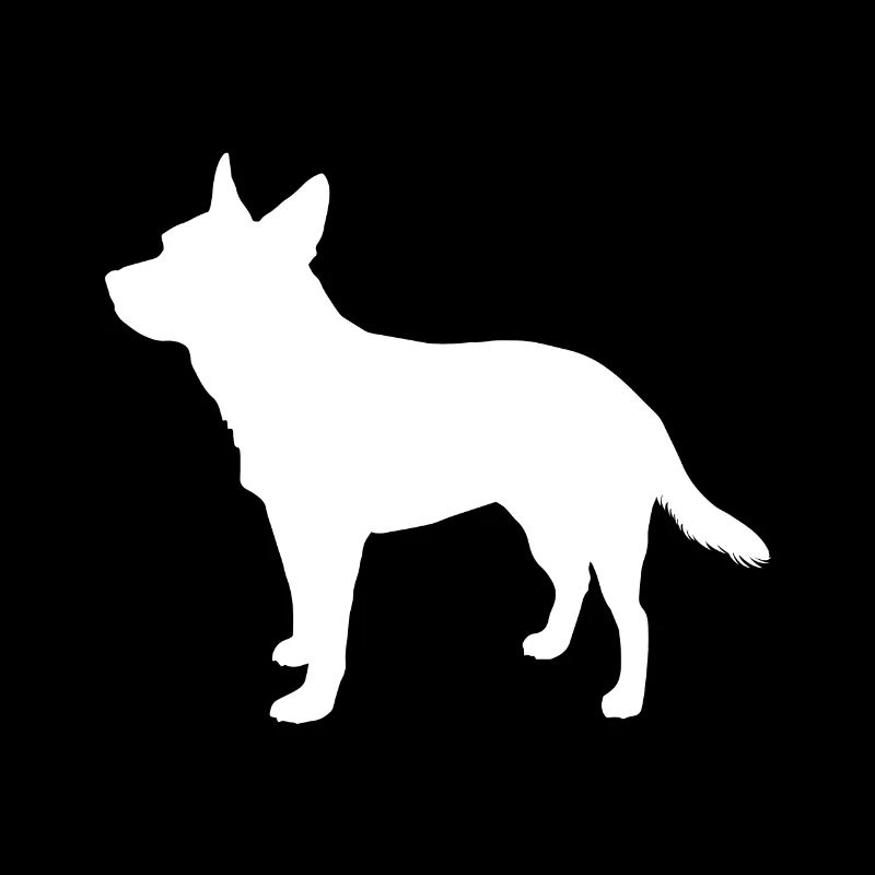 Australian Cattle Dog