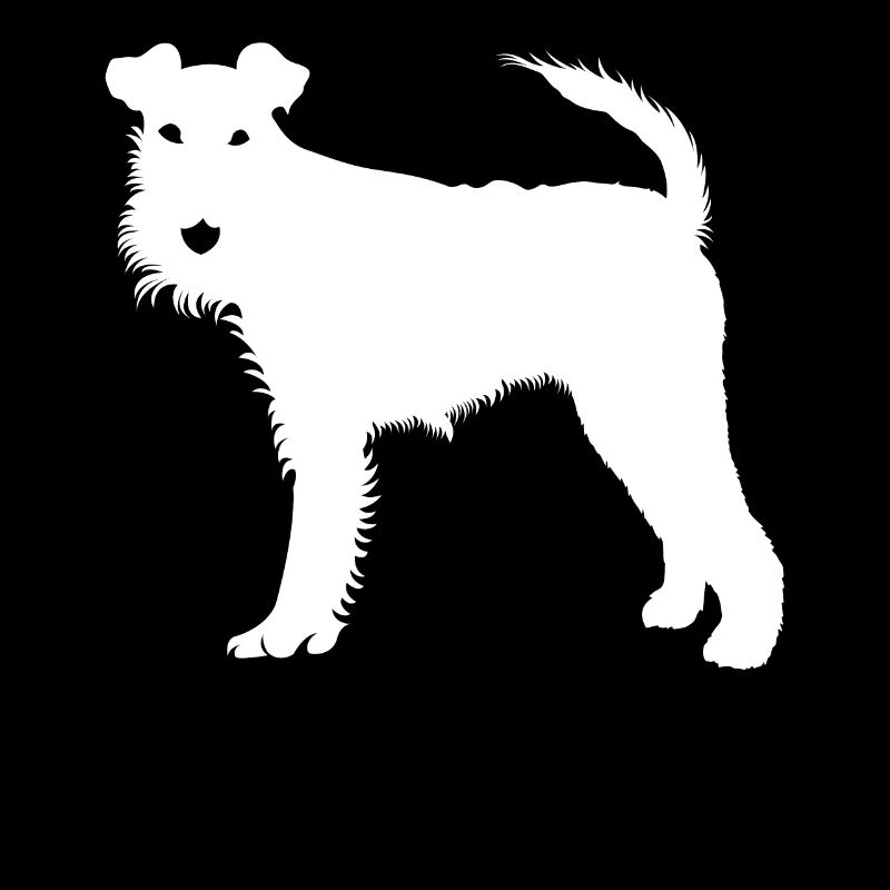 Fox Terrier