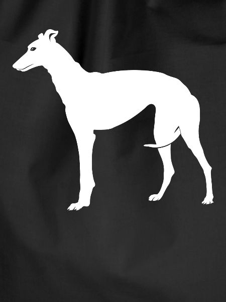 Greyhound greyhound