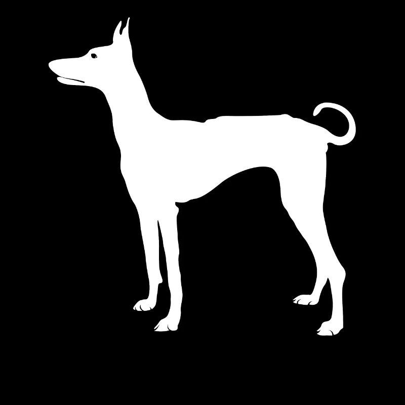 Podenco Ibicenco