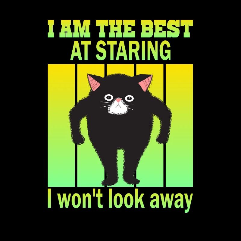 Staring Cat - Cats Staring