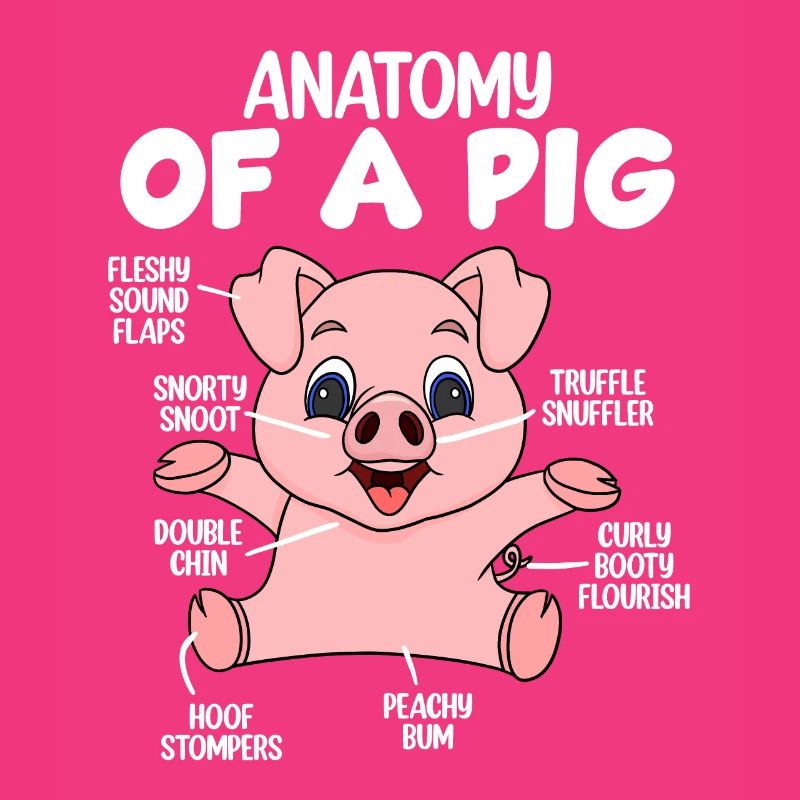 Anatomie eines Schweins