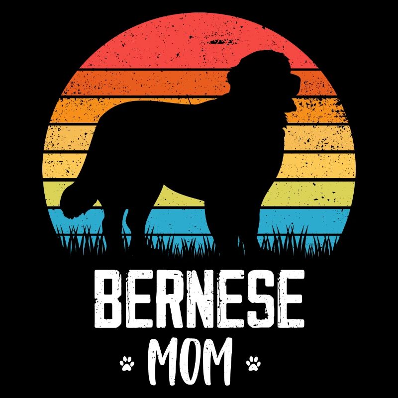 Bernese Mountain Dog