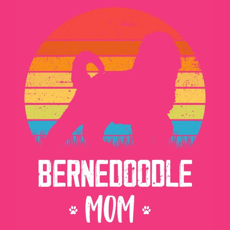 Bernedoodle Hund