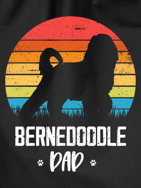 Bernedoodle Dog