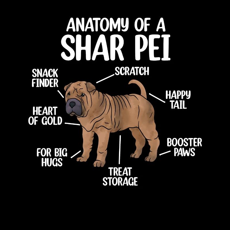 Chinese Shar Pei