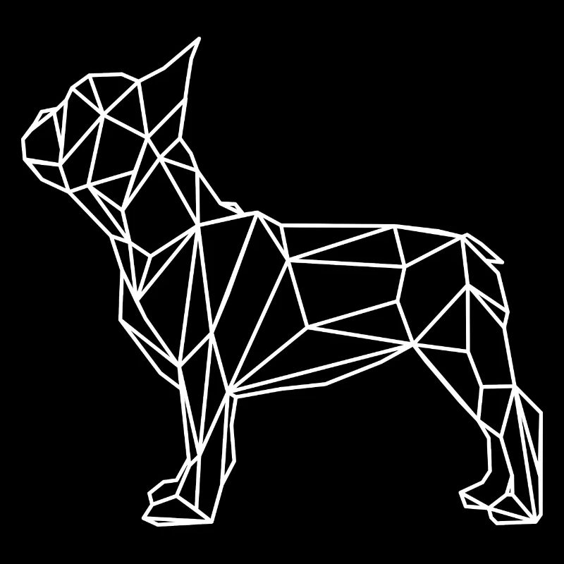 Géométrie du bouledogue français Polygone