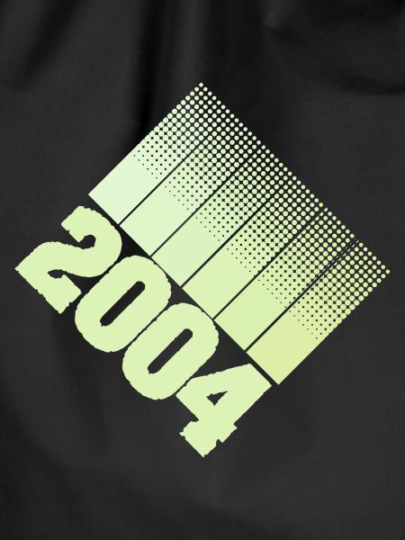 Year 2004