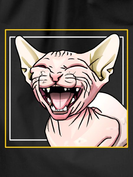 Sphynx cat laughs